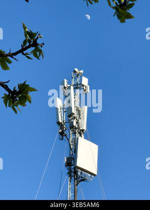Londra, Regno Unito. 24 aprile 2026. Un albero per telecomunicazioni mobili e un array di antenne incorniciati da rami frondosi contro un cielo blu profondo, con una luna diurna visibile in alto a sinistra, fotografato a Londra, aprile 2026. Rappresenta l'infrastruttura di rete mobile, la tecnologia 5G, la connettività urbana e il contrasto tra il mondo naturale e quello digitale. Credito: xiu bao/Alamy Live News Foto Stock