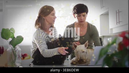 Donne pendenti con top a righe e color oliva, focalizzate sul laptop argentato al banco della cucina con terrier Foto Stock