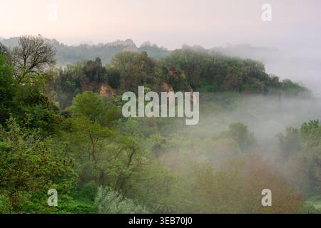 Vista delle scogliere rocciose delle Balze del Valdarno che emergono dalla nebbia mattutina e dalla lussureggiante foresta verde di Piantravigne, Toscana, Italia. Foto Stock