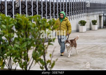 Batumi, georgia 21 aprile 2026: Uomo che indossa una giacca gialla e una felpa con cappuccio verde che cammina con il suo husky siberiano marrone e bianco al guinzaglio a batumi, ge Foto Stock