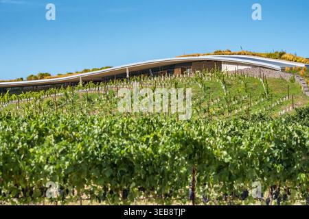 Cantina Bodegas Beronia circondata da splendidi vigneti a la Rioja, Spagna Foto Stock