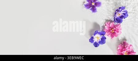 Viola e rosa viola africana che galleggiano su una superficie bianca con increspature d'acqua e luce solare Foto Stock