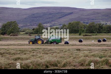 Balle di insilato rotonde avvolte in pellicola di plastica nera per la conservazione in un'azienda agricola irlandese. Questo processo agricolo tradizionale immagazzina foraggio fermentato come h Foto Stock