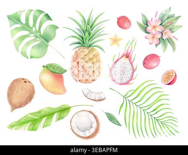 Frutti e foglie tropicali, matita colorata e illustrazione ad acquerello Foto Stock