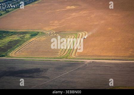Vista aerea di una mietitrebbia al lavoro in un campo agricolo in Canada. Foto Stock