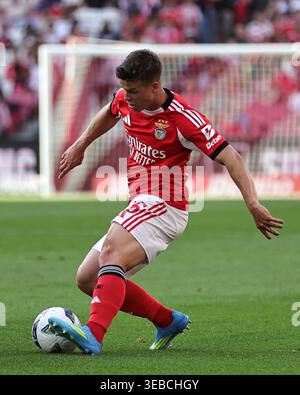 Lisbona, Portogallo. 25 aprile 2026. Samuel Dahl della SL Benfica durante la partita Betclic della Liga Portugal tra SL Benfica e Moreirense FC giocata allo Sport Lisboa e Benfica Stadium il 25 aprile 2026 a Lisbona, Portogallo. (Foto di Pedro Reis/PRESSINPHOTO) credito: PRESSINPHOTO SPORTS AGENCY/Alamy Live News Foto Stock