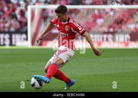 Lisbona, Portogallo. 25 aprile 2026. Samuel Dahl della SL Benfica durante la partita Betclic della Liga Portugal tra SL Benfica e Moreirense FC giocata allo Sport Lisboa e Benfica Stadium il 25 aprile 2026 a Lisbona, Portogallo. (Foto di Pedro Reis/PRESSINPHOTO) credito: PRESSINPHOTO SPORTS AGENCY/Alamy Live News Foto Stock