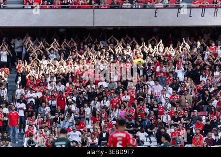 Lisbona, Lisbona, Portogallo. 25 aprile 2026. Tifosi Benfica durante la partita per Liga Portugal Betclic tra Benfica e Moreirense all'Estadio da Luz (immagine di credito: © Alexandre de Sousa/ZUMA Press Wire) SOLO USO EDITORIALE! Non per USO commerciale! Foto Stock
