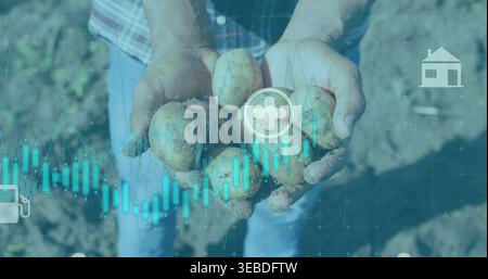Culla le patate sporche, l'agricoltore indossa una camicia a quadri e jeans sul campo con grafici o icone color tè Foto Stock