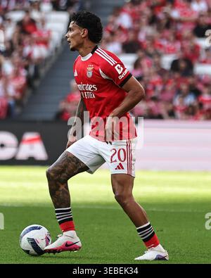 Lisbona, Portogallo. 25 aprile 2026. Richard Rios della SL Benfica durante la partita Betclic della Liga Portugal tra SL Benfica e Moreirense FC giocata allo Sport Lisboa e Benfica Stadium il 25 aprile 2026 a Lisbona, Portogallo. (Foto di Pedro Reis/PRESSINPHOTO) credito: PRESSINPHOTO SPORTS AGENCY/Alamy Live News Foto Stock
