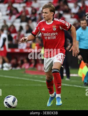 Lisbona, Portogallo. 25 aprile 2026. Andreas Schjelderup della SL Benfica durante la partita Betclic della Liga Portugal tra SL Benfica e Moreirense FC giocata allo Sport Lisboa e Benfica Stadium il 25 aprile 2026 a Lisbona, Portogallo. (Foto di Pedro Reis/PRESSINPHOTO) credito: PRESSINPHOTO SPORTS AGENCY/Alamy Live News Foto Stock