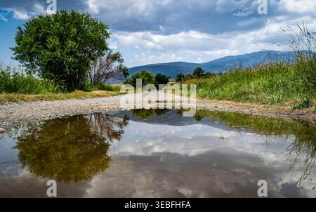 Vista ad angolo basso di una strada di campagna ghiaia con una grande pozzanghera che riflette il cielo nuvoloso, delimitata da alberi verdi e erba alta, con montagne lontane senza confini Foto Stock