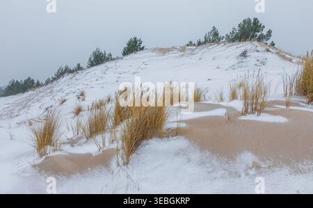 La neve invernale copre dune di sabbia con erba secca di marram, creando un paesaggio sereno e freddo a Czolpino, Polonia. Foto Stock