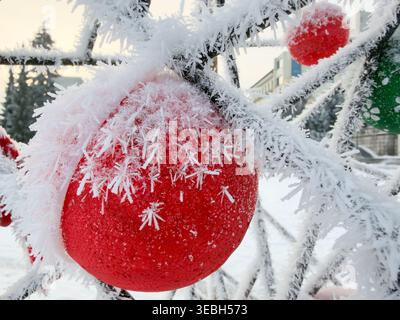 Le sfere Crimson brillano, adornate da delicati cristalli di ghiaccio, su rami ghiacciati. Un pittoresco scenario invernale che cattura l'intricata arte della natura Foto Stock