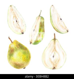 Illustrazione del set di acquerelli interi e fetta di pera giallo verde frutta matura con trafilato a mano. Schizzo di natura realistica botanica. Clip art da giardino per crea Foto Stock