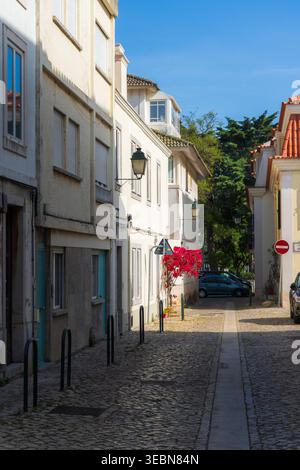 Lisbona, Portogallo - 7 maggio 2022: Vista di una strada acciottolata illuminata dal sole fiancheggiata da edifici storici, vivaci bouganville che aggiungono un contrasto infuocato. Foto Stock