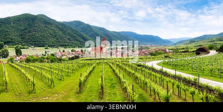 Il villaggio storico di Weissenkirchen si trova nella zona viticola, nel paesaggio della bassa Austria Foto Stock