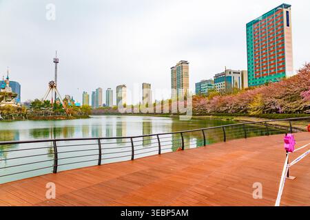 Vista panoramica della sorgente del lago Seokchon a Seoul, caratterizzato da fiori di ciliegio, passerella in legno e moderno skyline della città riflesso sulle acque calme di South Kor Foto Stock