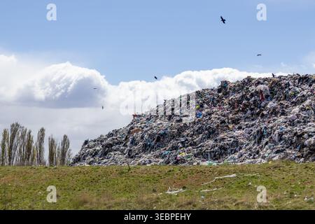 Una grande discarica è visibile in lontananza con tumuli di rifiuti. L'area è aperta e alcuni uccelli volano sopra la spazzatura. La linea degli alberi t Foto Stock