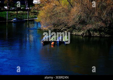 Barche ormeggiate sul Tamigi a Richmond-upon-Thames, Londra, Inghilterra Foto Stock