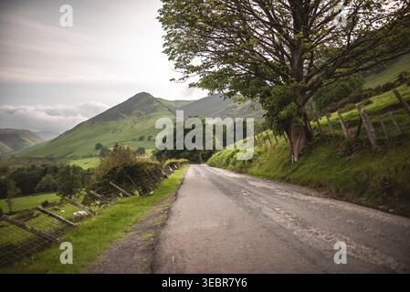 Un bellissimo paesaggio presenta una strada tortuosa, che conduce l'occhio dello spettatore attraverso un ambiente naturale vibrante Foto Stock