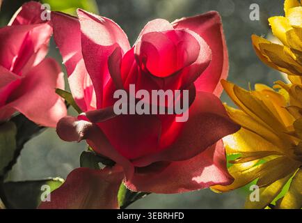 Una rosa rossa rosa artificiale Foto Stock