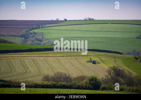 Trattore in funzione, arato nella campagna della Cornovaglia, vicino a Looe Foto Stock