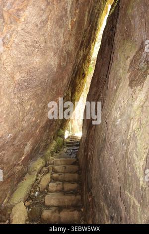 Gradini di pietra tra pareti rocciose durante l'escursione sul circuito di Twin Falls, Springbrook National Park, Qld Foto Stock