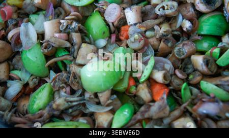 Vista ravvicinata di Tumis Cumi Hijau, un saporito piatto indonesiano fritto con calamari, peperoncini verdi brillanti, cipolle e pete (fagioli puzzolenti) per un Foto Stock