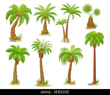 Specie di palme tropicali cartoni animati con tronchi curvi, foglie verdi lussureggianti, noci di cocco, terreno sabbioso e pietre. Elementi naturali vettoriali estivi, spiagge dell'isola piante esotiche, simbolo di viaggi o vacanze Illustrazione Vettoriale