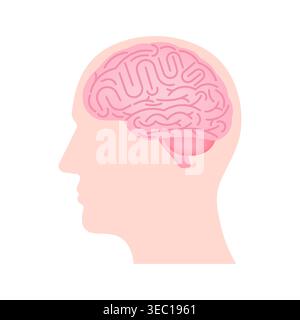 Cervello. Testa con cervello umano. Illustrazione vettoriale isolata su sfondo bianco. Illustrazione Vettoriale