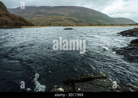 Le impressionanti acque buie della torba del fiume Owengarriff scorrono nel lago Muckross sotto il monte Torc dalle ghiandole boschive del Parco Nazionale di Killarney, Kerry, Irlanda. Foto Stock