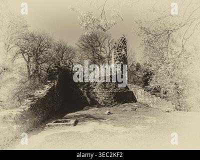 Questa immagine in bianco e nero è della fortezza medievale abbandonata del castello di Ewloe [Castell Ewloe] vicino alla città di Flint nel Galles del Nord Cymru. Foto Stock