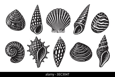 Lino illustrazione Beach per il design vettoriale di mare e conchiglie oceaniche. Timbro con silhouette isolata per set di lino estivo e marino bianco e nero. Lino Illustrazione Vettoriale