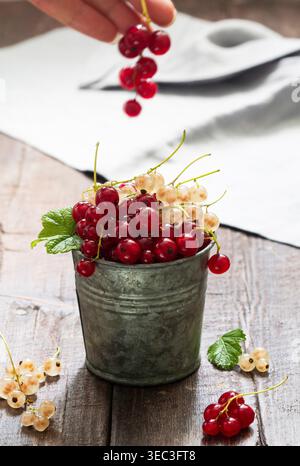 Ribes bianco e rosso in un secchio di metallo su fondo di legno. Foto Stock