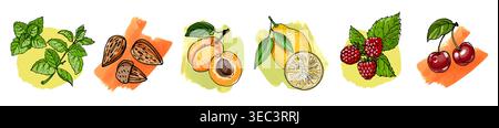 Set vettoriale disegnato a mano bacche, frutta, spezie e chicchi di caffè Illustrazione Vettoriale