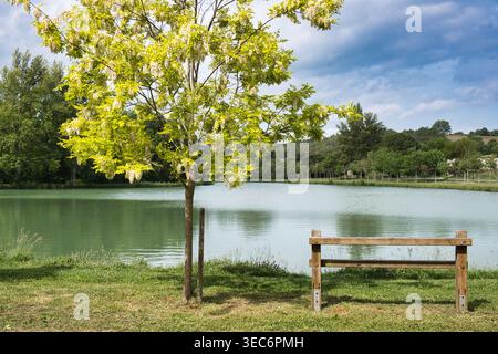 Tranquillo panorama lacustre con alberi in fiore e panchina in legno che si affaccia sull'acqua calma. La vegetazione lussureggiante e le morbide nuvole creano un tranquillo paesaggio di campagna Foto Stock