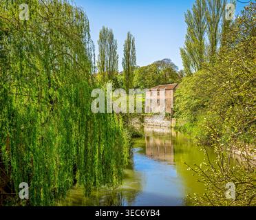 Un fiume curva oltre un vecchio mulino di mattoni che si riflette nell'acqua. C'è un salice in primo piano e un cielo limpido sopra. Foto Stock