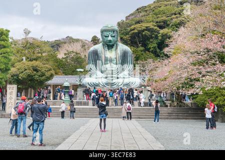 Buddha gigante, Kamakura, Tokyo, Kanto, Giappone Foto Stock