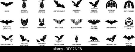 Raccolta completa di specie di pipistrelli e icone comportamentali in uno stile di glifo solido pulito. Con varie pose, tra cui volo, riposo e caccia Illustrazione Vettoriale