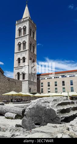 Campanile della cattedrale più grande della Dalmazia, cattedrale di Santa Anastasia a Zara, Croazia Foto Stock