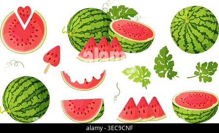 Set di anguria con frutta intera, metà, fette, taglio cardiaco e foglie. Modello piatto disegnato a mano. Illustrazione della nuova estate isolata. Per design estivi, confezioni alimentari, menu, poster, tessuti. Illustrazione Vettoriale