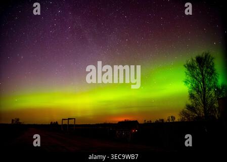 Silhouette del tetto di una casa con un albero solitario sotto l'aurora boreale verde brillante e un cielo stellato notturno sopra un campo Foto Stock