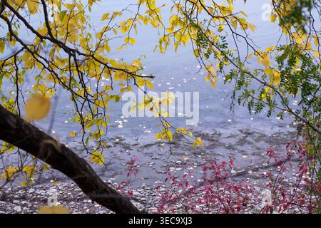 Forest Fall Colors incorniciano il lungofiume Foto Stock