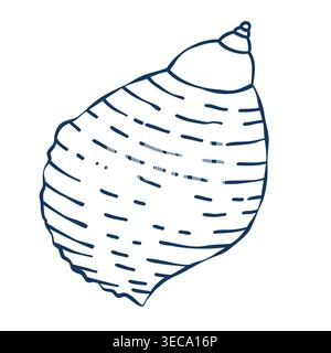 Stravagante conchiglia mediterranea disegnata a mano Illustrazione Vettoriale