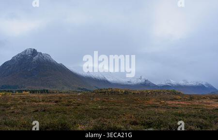 Il monte Reka innevato sopra la brughiera autunnale di Langoya a Vesteralen, Norvegia Foto Stock