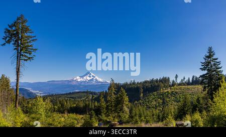 MT. Cofano che si innalza sopra la foresta primaverile sgomberando nelle giornate azzurre Foto Stock