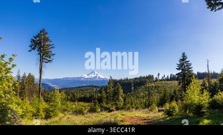MT. Cofano che si innalza sopra la foresta primaverile sgomberando nelle giornate azzurre Foto Stock