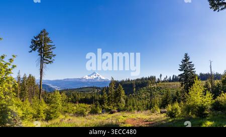 MT. Cofano che si innalza sopra la foresta primaverile sgomberando nelle giornate azzurre Foto Stock