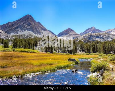 Prato alpino con ruscelli e vette montane nel paesaggio selvaggio della Sierra Nevada Foto Stock